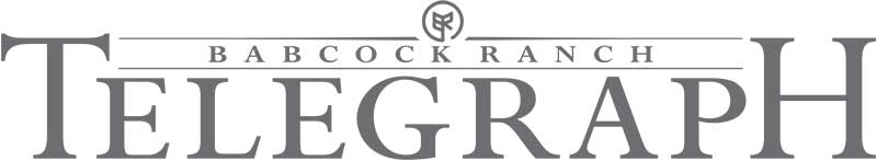 Babcock Ranch Telegraph logo in gray, with large stylized text and a circular emblem featuring a leaf above "Babcock," representing its presence on a Premier Media Network for innovative Programmatic Advertising.