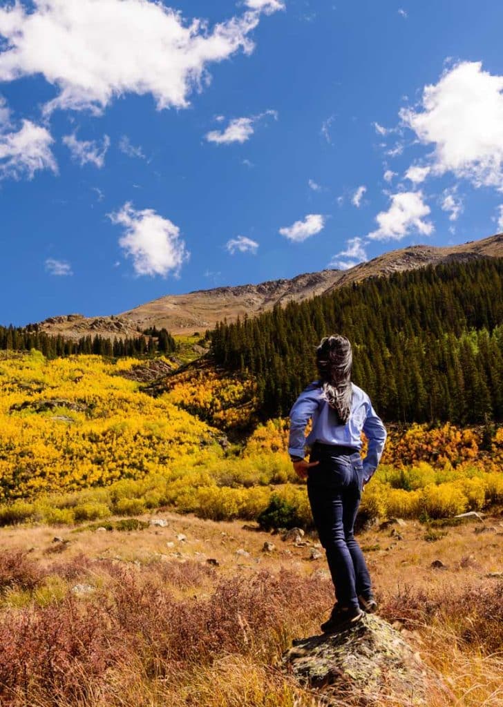 Person standing on a rock, looking at a scenic landscape with yellow autumn trees, green pines, and a mountain under a blue sky—an inspiring view for those seeking creative Digital & Advertising Solutions.